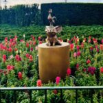 Beyond the Rides: The Ultimate Disney Park Guide to the Most Magical Family Experiences!