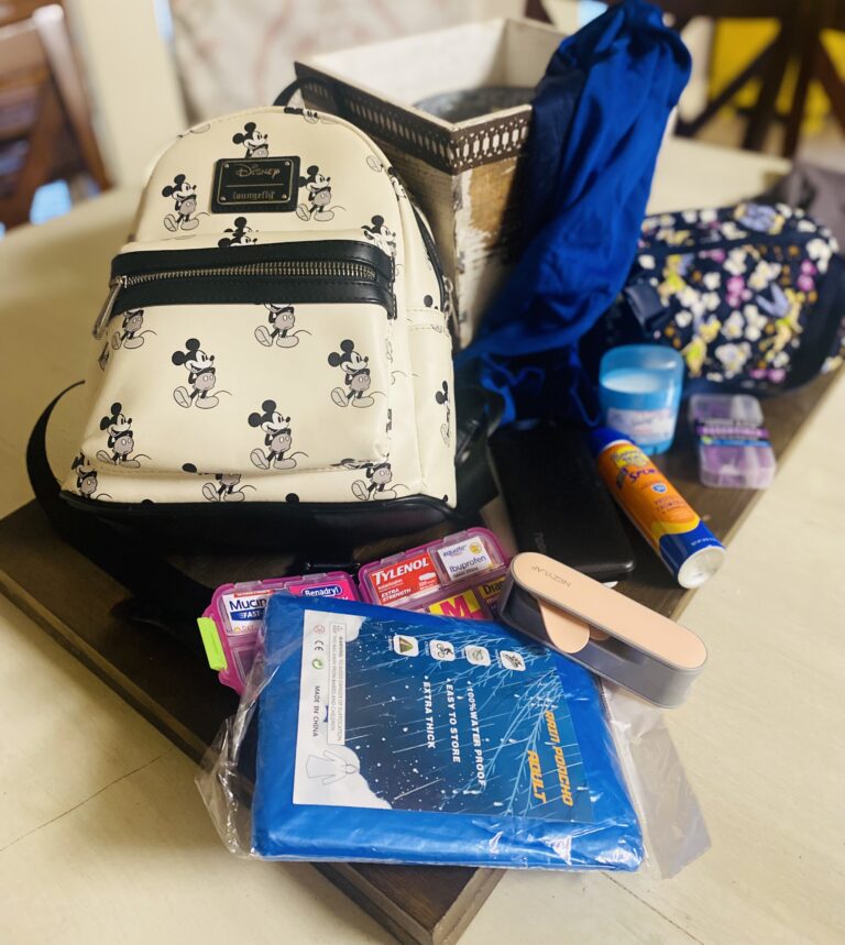 Magical Must-Haves: Affordable Essentials for Your Disney Park Day!