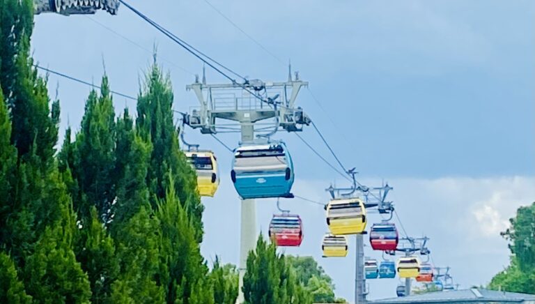 Your Complete Guide to Disney World Resort & Park Transportation