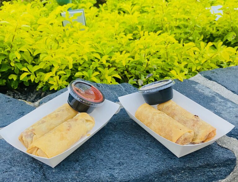 Best Magic Kingdom Snacks Under $10 – Cheap & Tasty Disney Treats