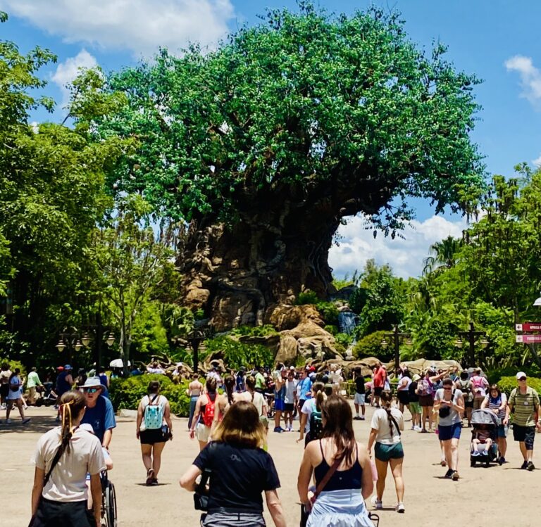 A Mom’s Guide to Disney’s Animal Kingdom with Teens & Kids: Everything You Need to Know