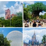 Your Ultimate Guide to Disney Park Hopping: Everything You Need to Know!